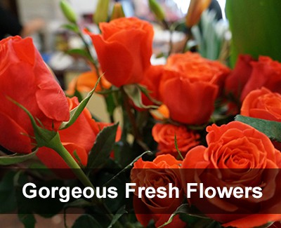 Fresh Flower Arrangements