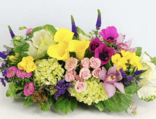 Celebrate Spring with Seasonal Displays from Allen’s Flowers