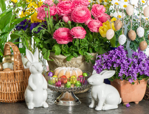 Celebrating Passover and Easter with Flowers and Plants
