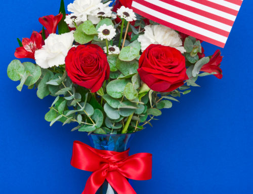 Shop with Allen’s Flowers for fresh and dazzling flowers and plants to honor Veterans Day on November 11th