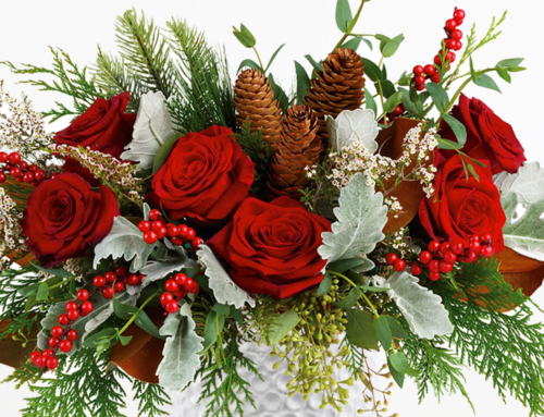 Send best in the industry exquisite Christmas Flower Bouquets and other Floral Products when you purchase from Allen’s Flowers