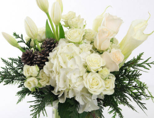 Allen’s Flowers and Plants offers the finest in Christmas and Hanukkah flowers and gifts