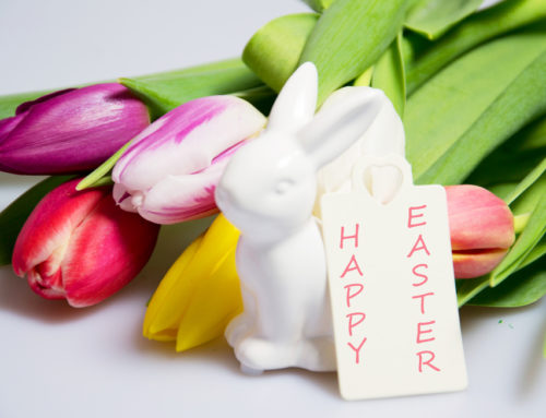 Allen’s Flowers offers the Best Selection of Easter and Passover Flowers