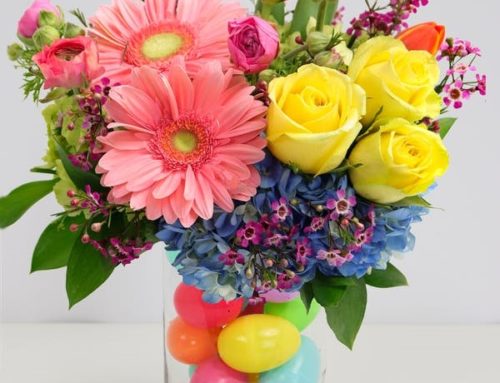 Bring in the Spring Season with Allen’s Flowers Beautiful and Fresh Spring and Easter Flowers