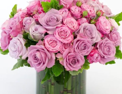 In San Diego, Shop with Allen’s Flowers to Celebrate National Rose Month