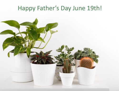 Allen’s Flowers offers the Finest Quality Father’s Day Floral Gifts in San Diego