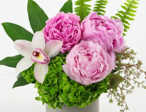 Save 10% At Allen’s Flowers on Summer Flowers and Plants Arrangements for the next 15 Days with Coupon Code WBC10Y
