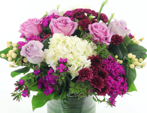 Allen’s Flowers offers Same Day Flower and Plant Delivery to Scripps Mercy Hospital