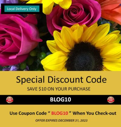 Special Discount Coupon Code, Save $10 On Your Purchase, Minimum Spend of $50 Required For Use