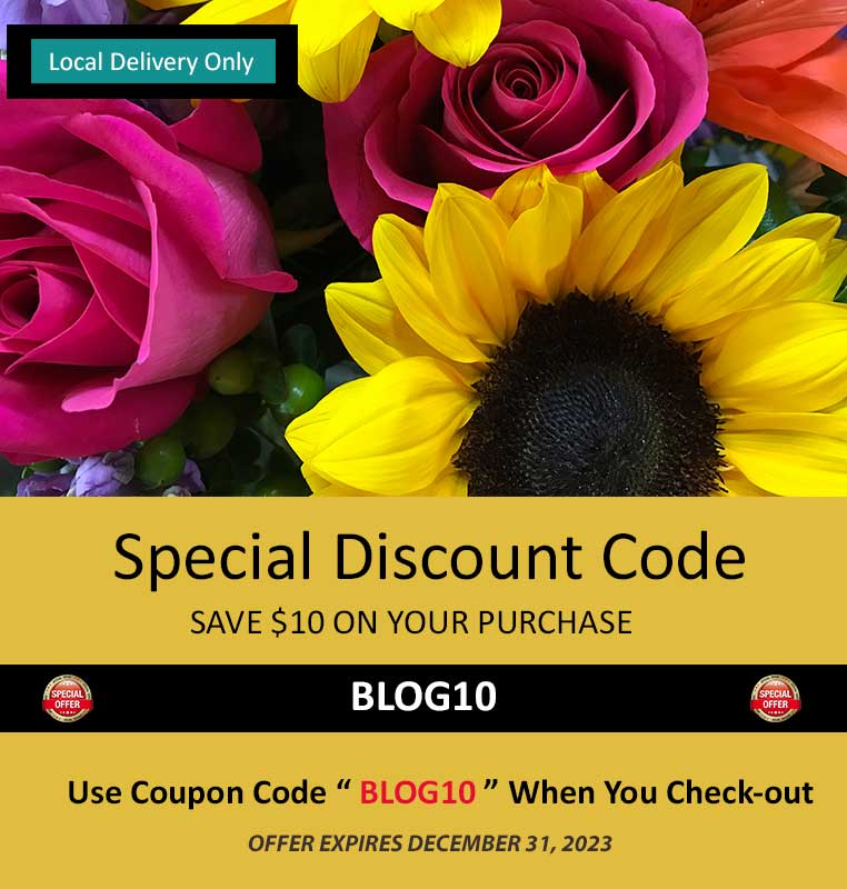 Special Discount Coupon Code, Save $10 On Your Purchase, Minimum $50 Spend Required