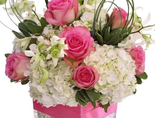 Allen’s Flowers Offers New Baby, Valentine’s Day and All Occasion Flowers. (Multi Occasion Coupons Below)