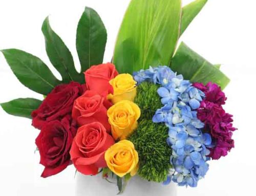 Celebrate the Start of Spring with Fresh Flowers and Plants from Allen’s Flowers. (Multi Occasion Coupons Below)
