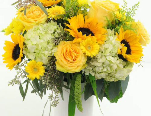 Visit Us Online or In Store for Fresh Graduation Congratulations Flowers. Apply Discount Coupons for Big Savings!