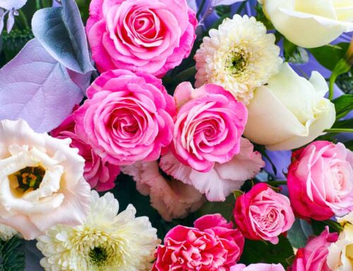 Shop Here for the Best Labor Day Flowers and Plants in San Diego!