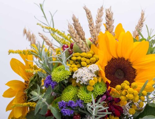 Our Fresh Fall Themed Bouquets and Arrangements Will Put you in the Fall Spirit!