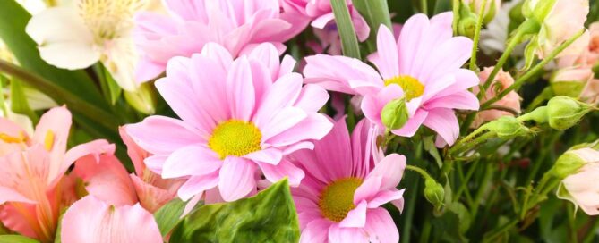 Daughters Day Flowers