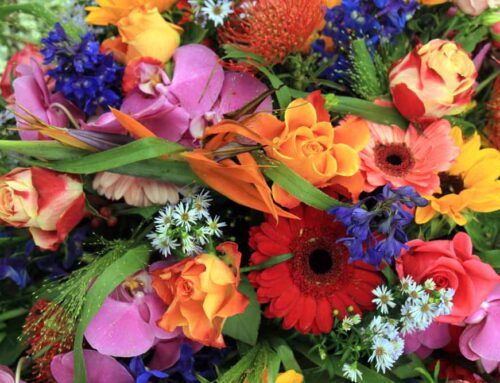We Offer the Best Bosses Day Flowers & Plants in San Diego!  (DISCOUNTS BELOW)