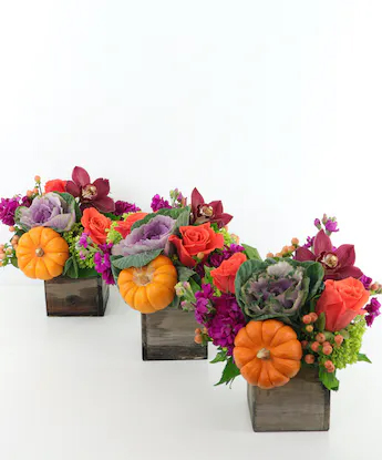 fall decor