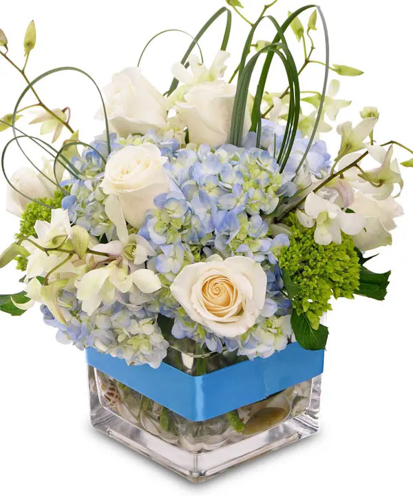 New Baby Floral Gifts Same Day Hospital Flower Delivery Allen's Flowers