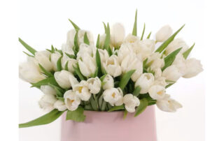 Allens Flowers Presidents Day Flowers Tulips