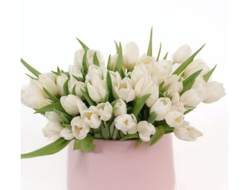 We Offer Magnificent Floral Products for All Occasions for Example Presidents Day Flowers