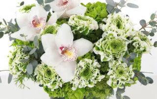 Saint Patrick's Day Floral Products Allen's Flowers
