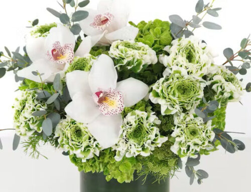 Celebrate with Green Elegance: Saint Patrick’s Day Floral Products