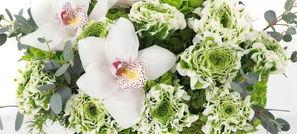 Saint Patrick's Day Floral Products Allen's Flowers