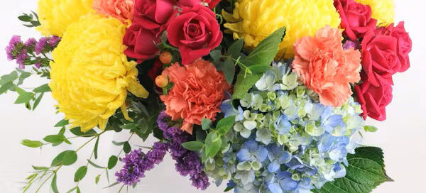 Allen's Flowers Get-Well Flowers Chula Vista Flower Delivery