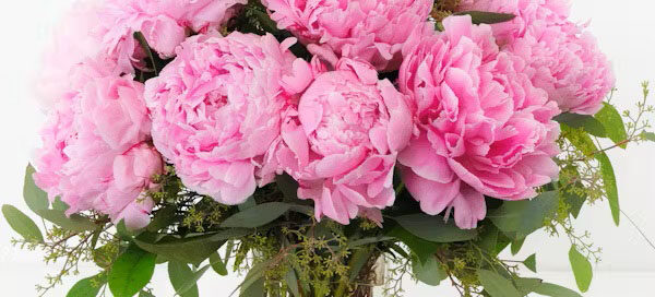 Allen's Flowers Congratulations Floral Gifts Allen’s Flowers & Plants Has Been Proudly Serving Del Mar for More Than 32 Years!