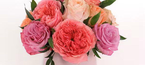 Allen's Flowers Independence Day Celebration Flowers Same Day Local Delivery