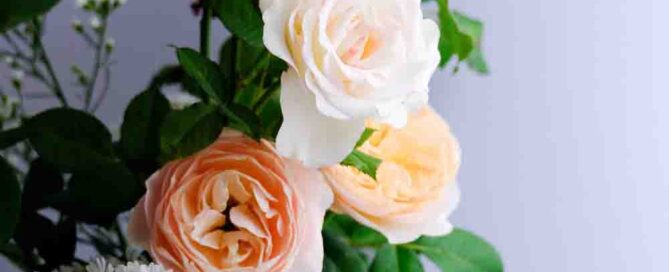 Allens Flowers Valentine's Office Delivery