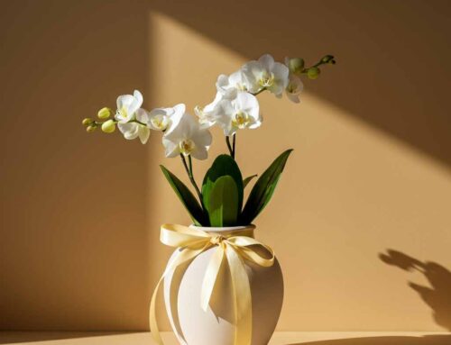 Administrative Professionals Day Flowers and Plants Symbolize Appreciation to Hardworking Professionals