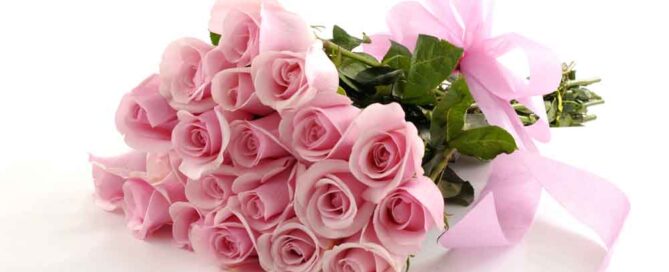 Mother's Day Pink Roses