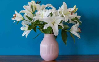 Teacher Lily Flowers for appreciation