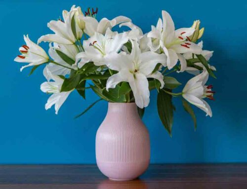 Teacher Thank you Flowers are Perfect for Showing Appreciation