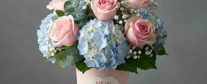 New Baby Flowers of Roses and Hydrangea