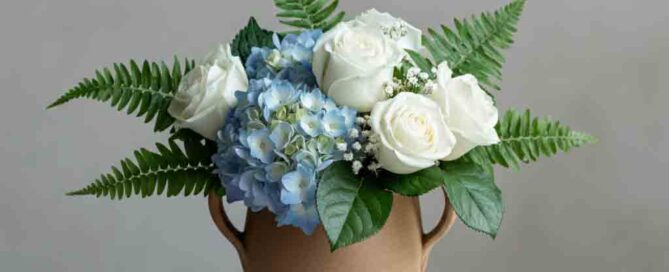 White Roses, Hydrangea and Ferns Sympathy Arrangement