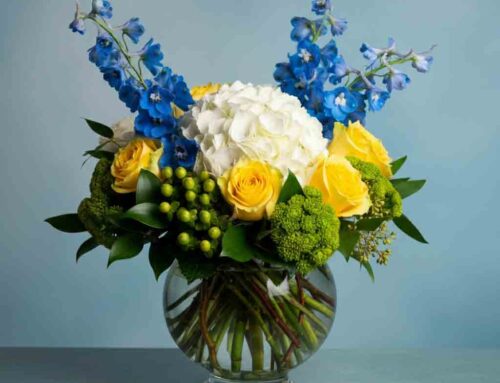 Love and Romance Flowers Help to Express your Deepest Feelings