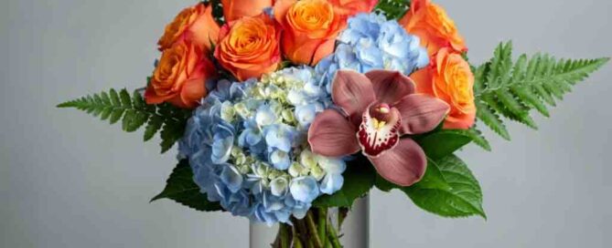 Blue Hydrangea, Orange Roses and Ferns Get well