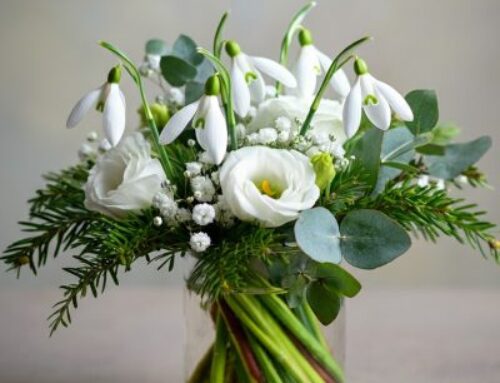 Winter Flowers Brighten the Classroom