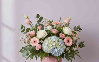 Spring Flowers