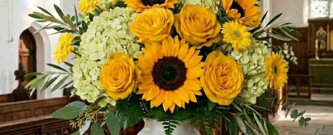 Just Because Flowers